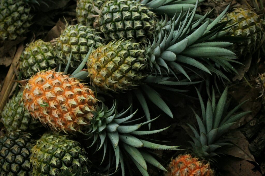 Los beneficios de la piña para combatir la inflamación 1 Los beneficios de la piña para combatir la inflamación