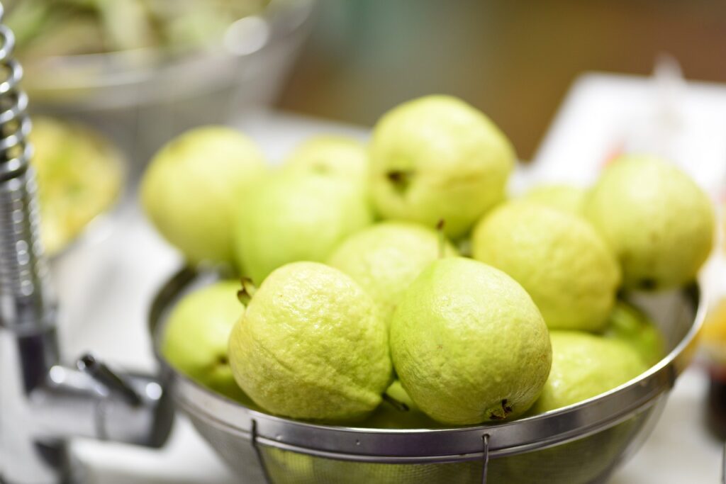 Propiedades curativas de la guayaba contra el resfriado 1 Propiedades curativas de la guayaba