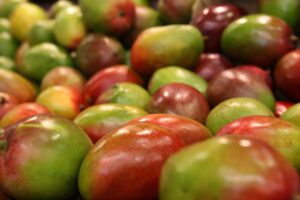 Fruta de mango