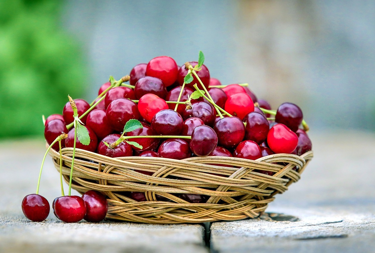 Las cerezas y su papel en el alivio del dolor articular 1 Propiedades de la cereza